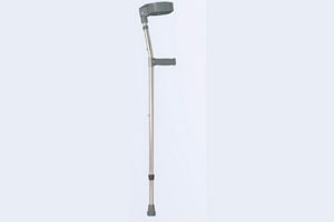 Walking stick
