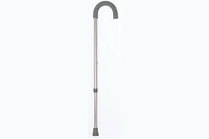 Walking stick