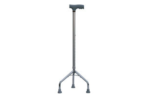 Cane